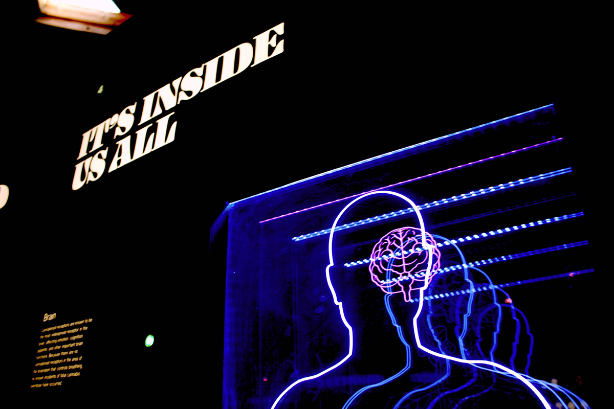 Στρες και εγκέφαλος