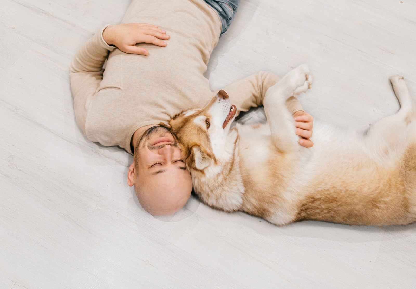 Πώς μας βοήθησαν τα ζώα την περίοδο της πανδημίας;