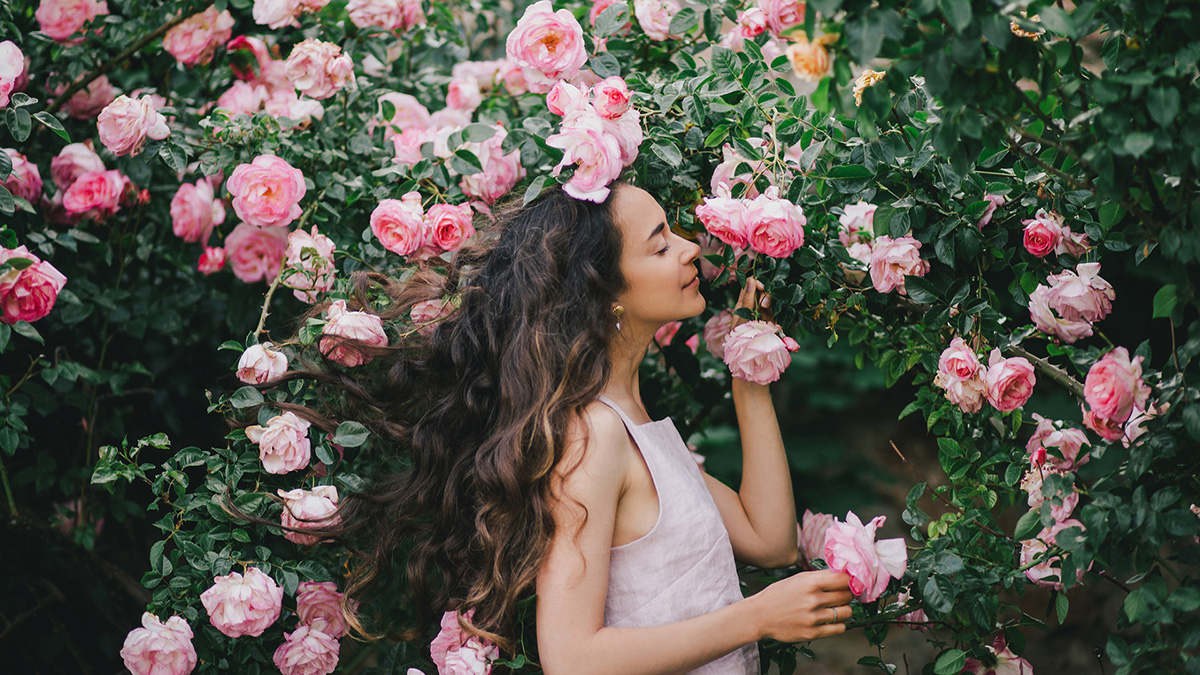 τριαντάφυλλα