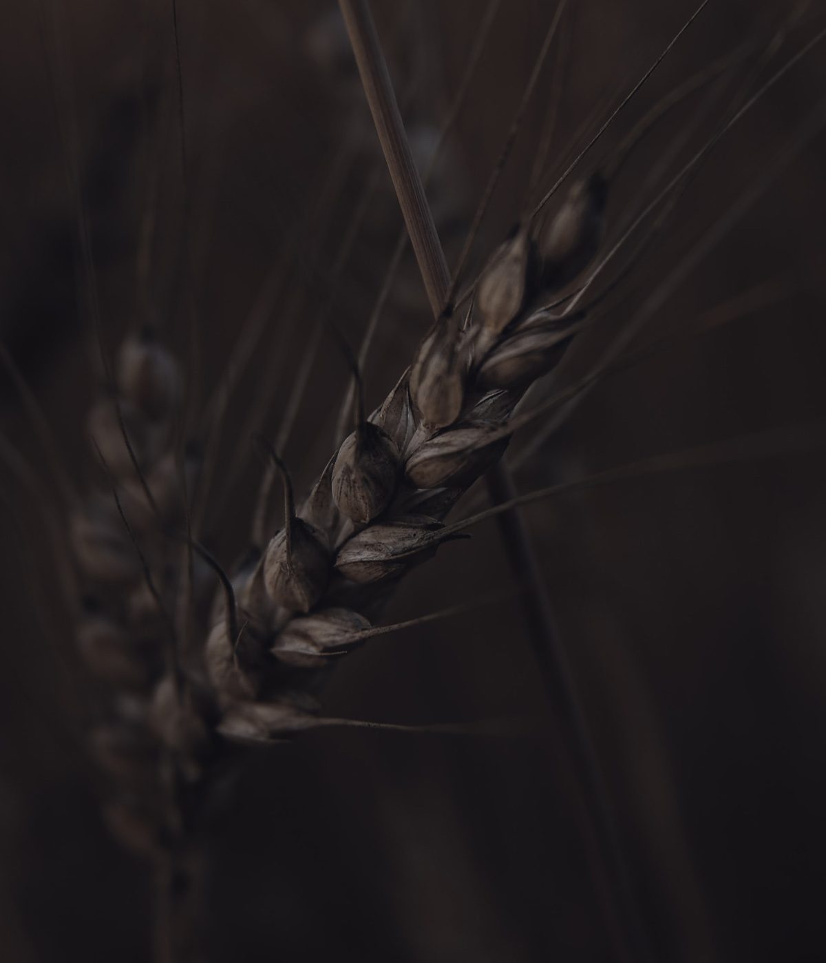 Γιατί θα χρειαστεί να πίνουμε λιγότερο καφέ τα επόμενα χρόνια;