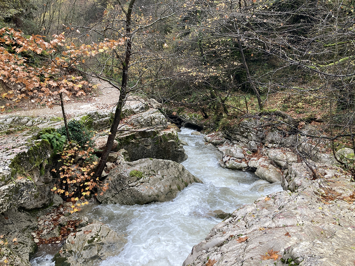 Καλαρρύτες