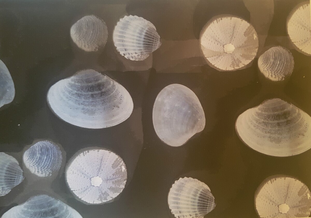 Art project: experimental photography