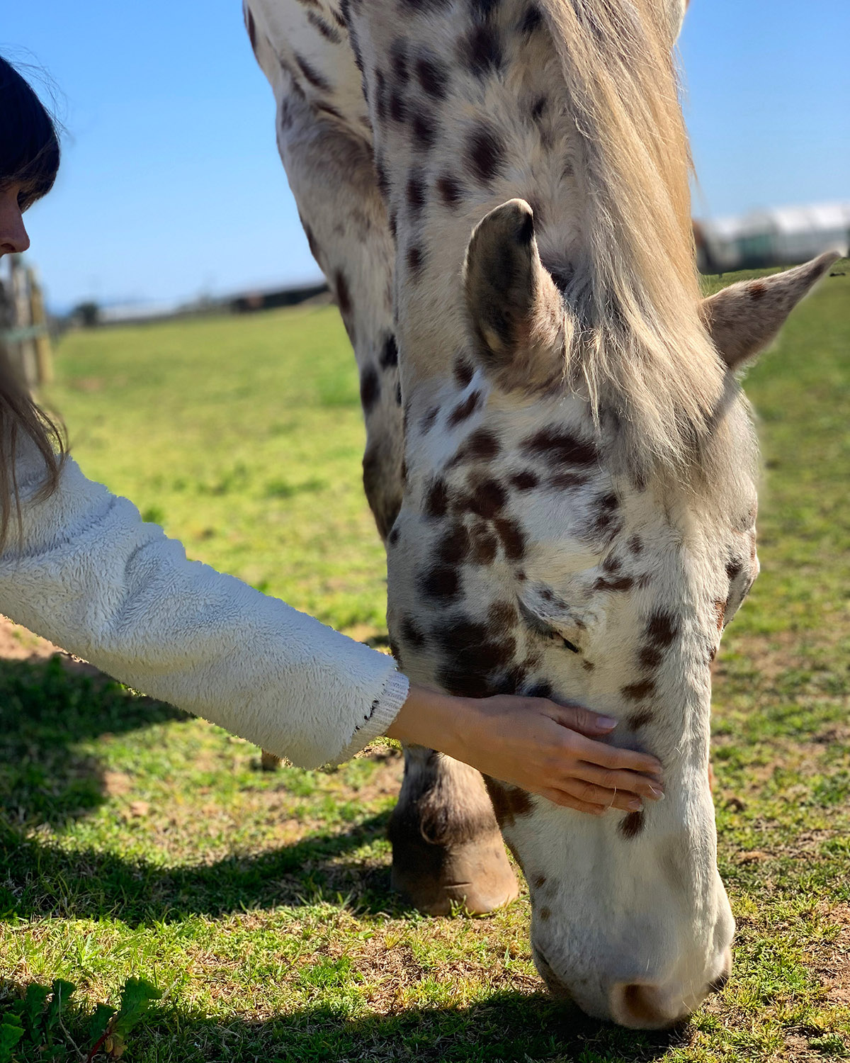 Ψυχολογική στήριξη στην Ιππόλυση