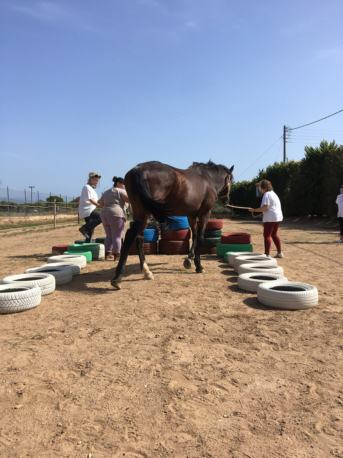 Ψυχολογική στήριξη στην Ιππόλυση