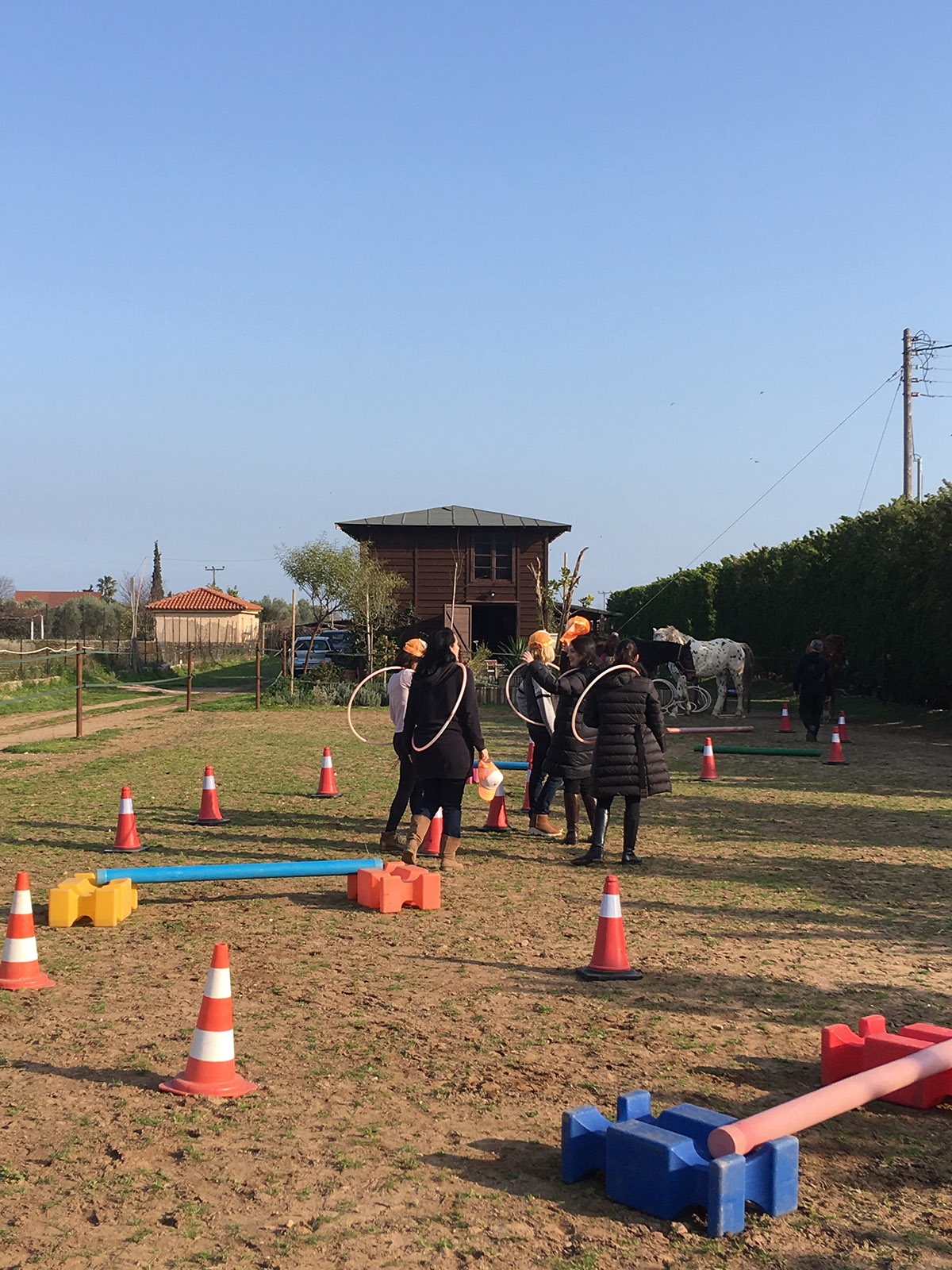 Ψυχολογική στήριξη με άλογα