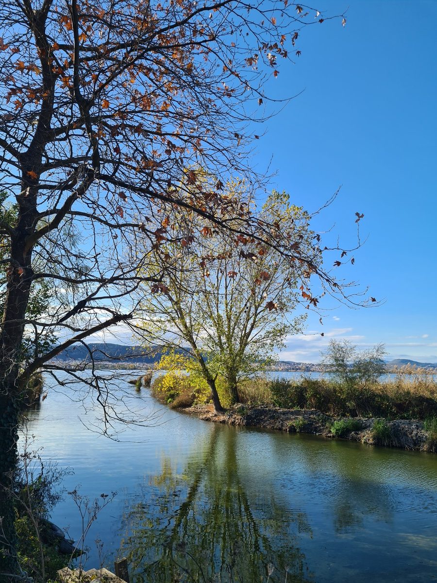 νησάκι Λίμνη Ιωαννίνων