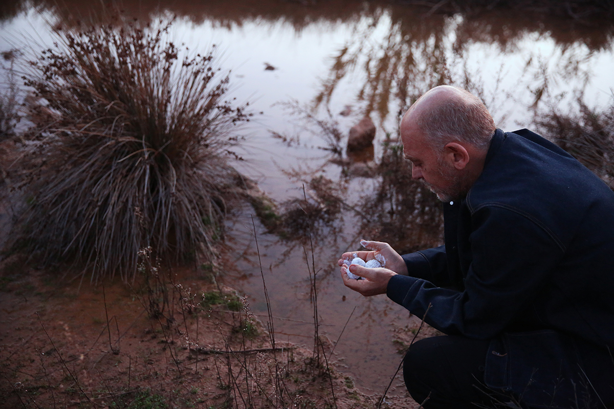 Παρλιάρος φύση