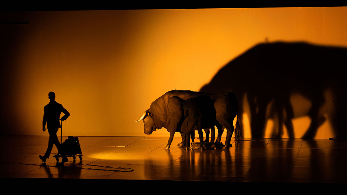 Εγκάρσιος Προσανατολισμός
