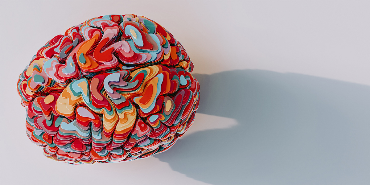 εγκέφαλος και σεξ