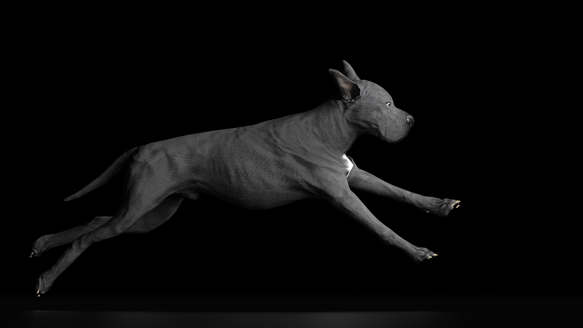 μεγάλος Δανός