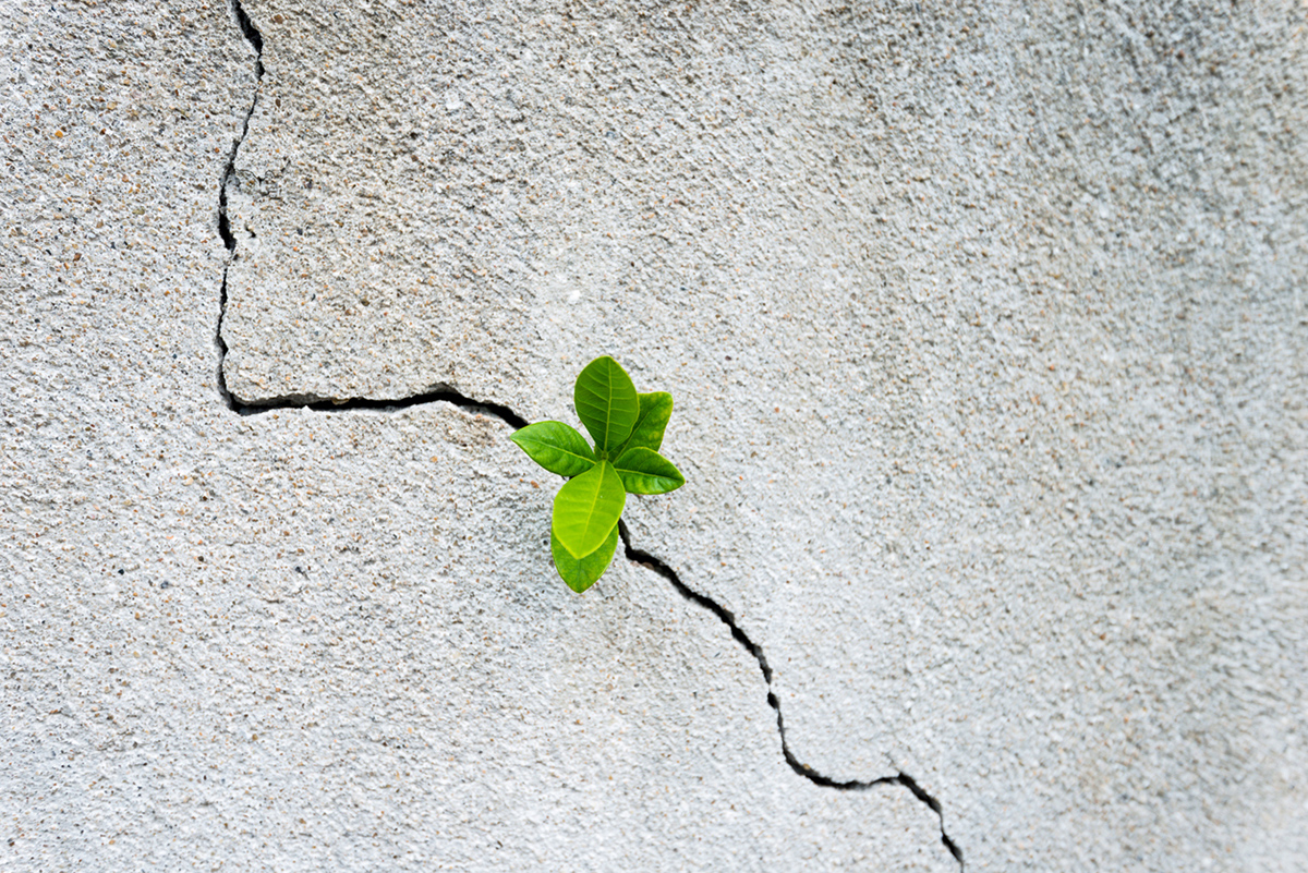 τεχνικές για να αντιμετωπίσετε την αρρωστοφοβία