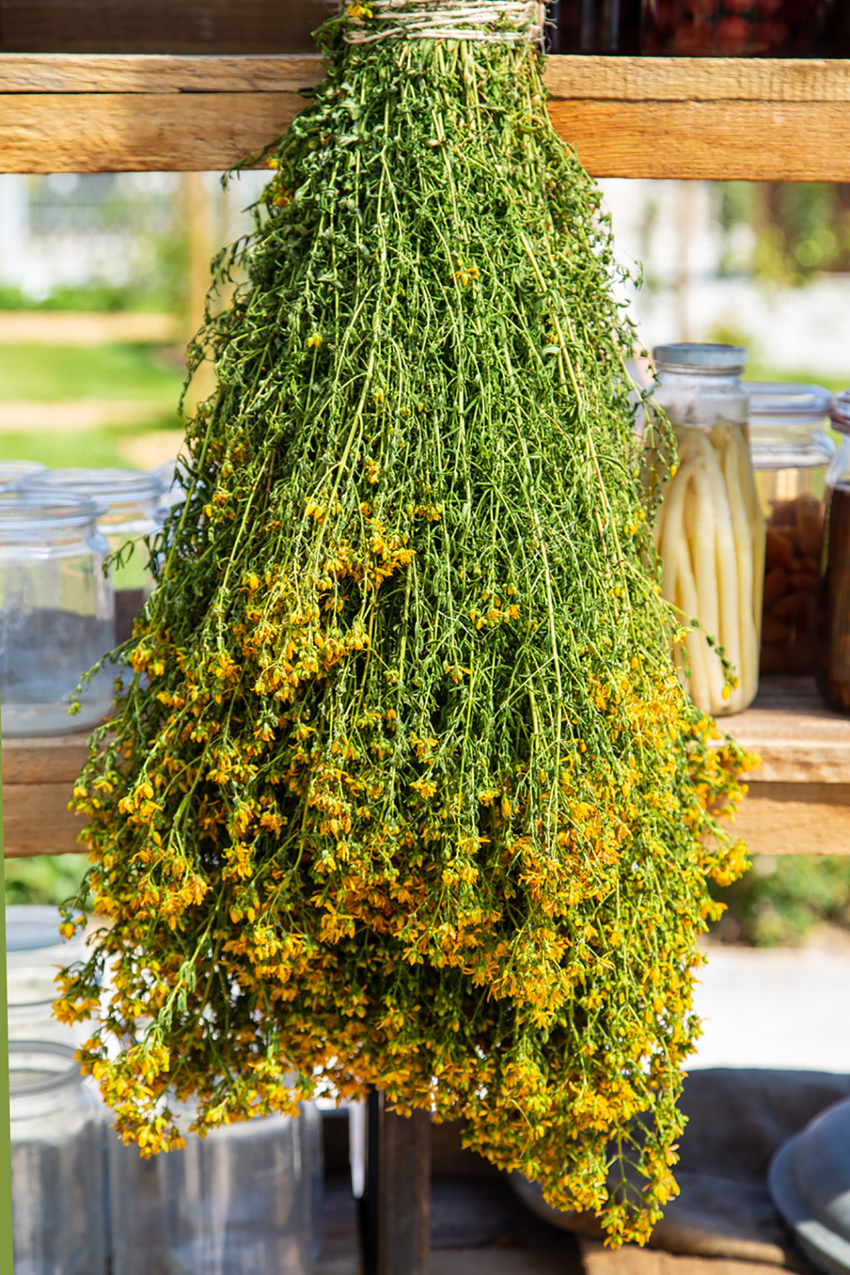 βαλσαμόχορτο