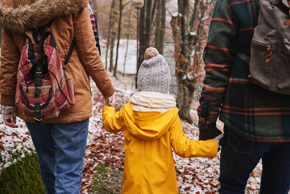συνεπιμέλεια