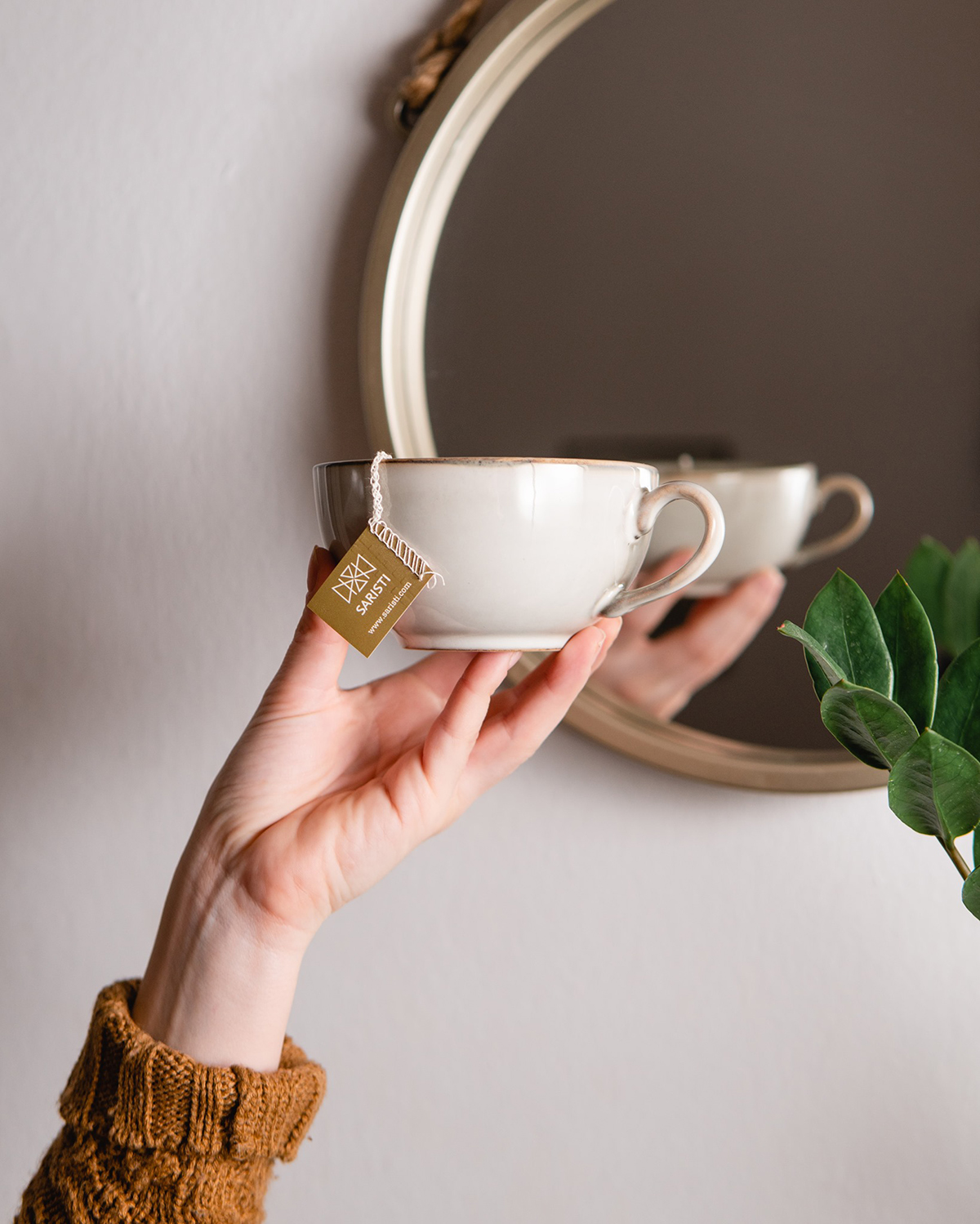 Saristi βότανα