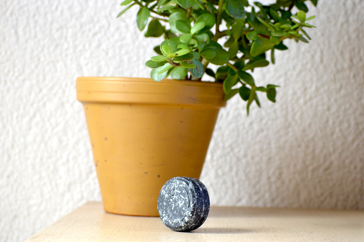 σαμπουάν σε μπάρα