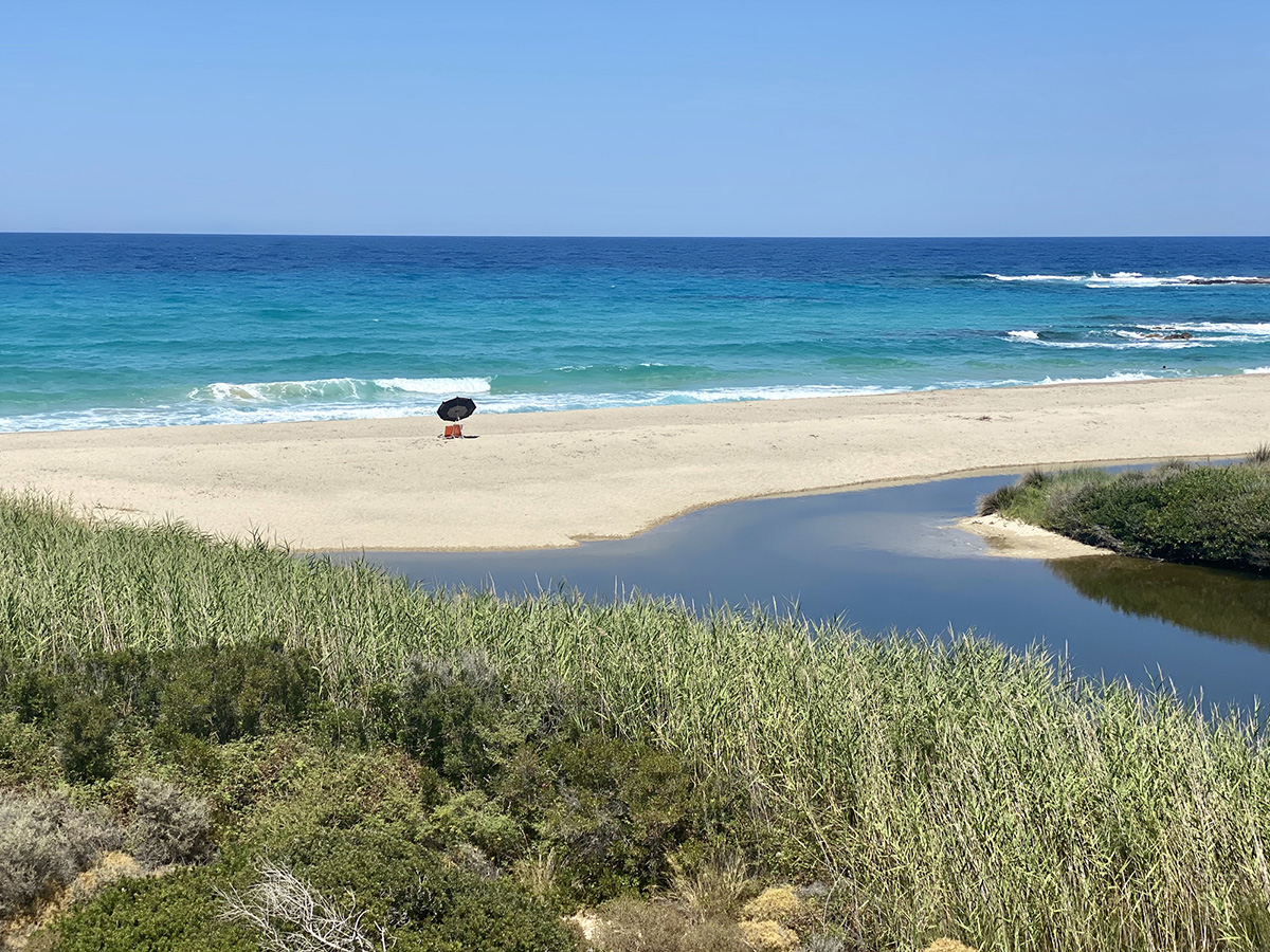 Συνήθειες για μακροζωία