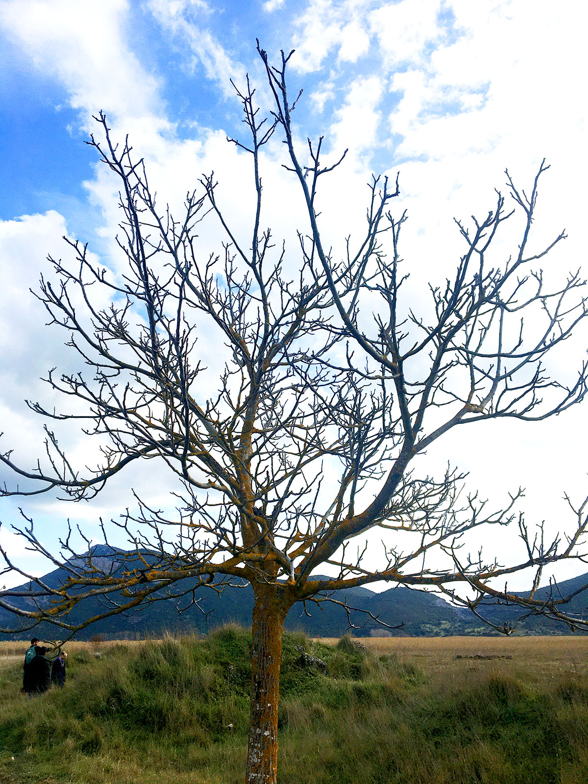 Στυμφαλία Χειμώνας