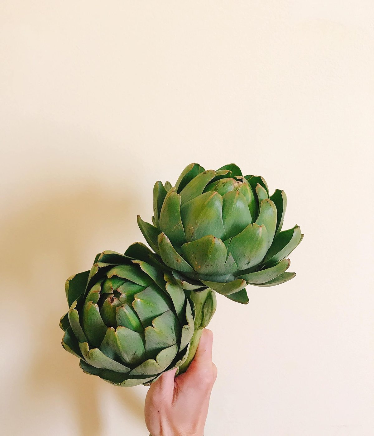 Αγκινάρες: Όλοι οι λόγοι που αξίζει να τις βάλετε στο πιάτο σας