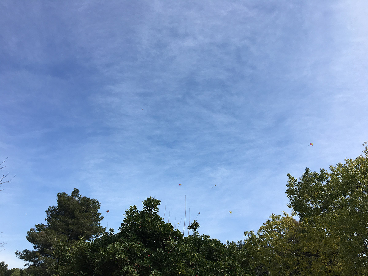 αετοι στον αερα