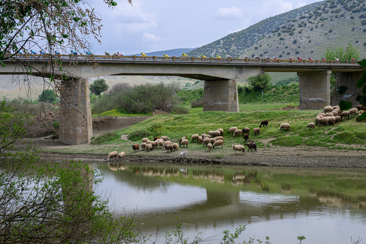 Εθελόντρια στον ποδηλατικό γύρο