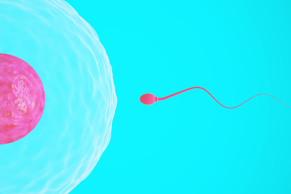 γονιμότητα