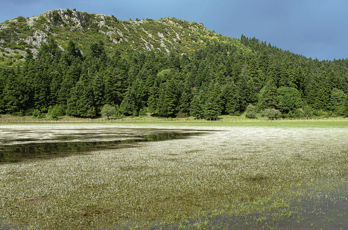 Καλλίδρομο