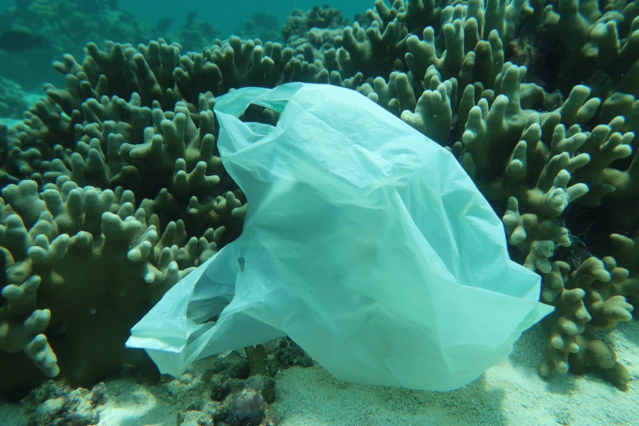 Λέμε «όχι» στην πλαστική σακούλα