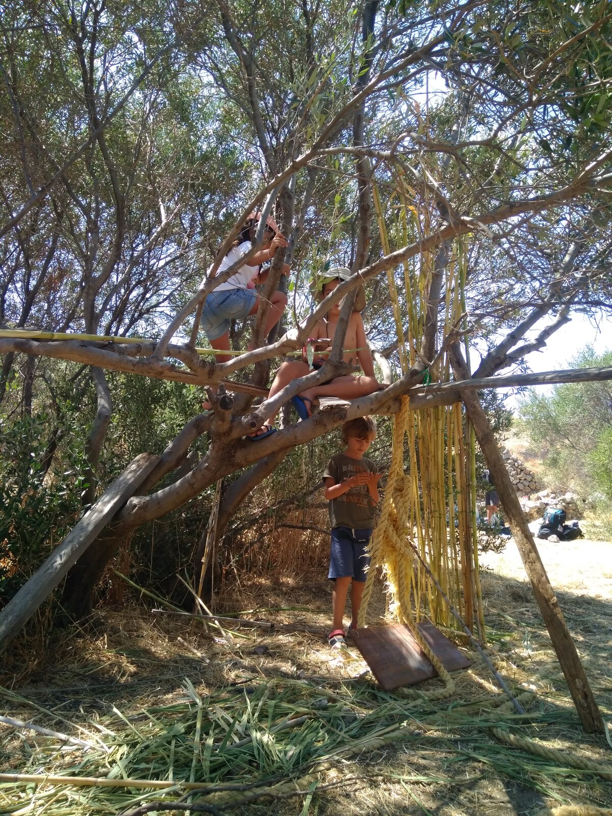 δεντρόσπιτο