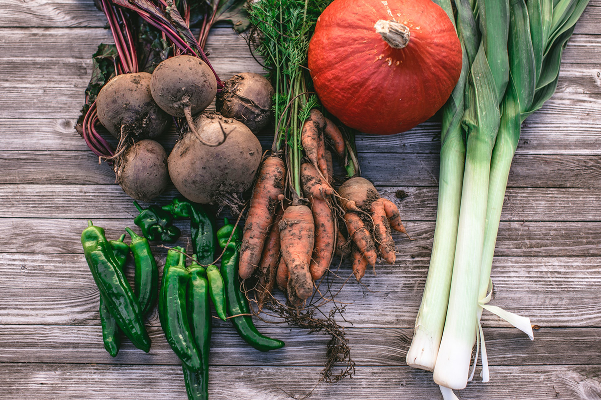 Γονιμότητα και διατροφή