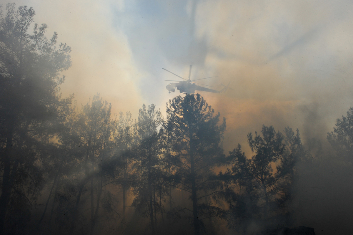 Η πρόληψη των δασικών πυρκαγιών είναι μονόδρομος