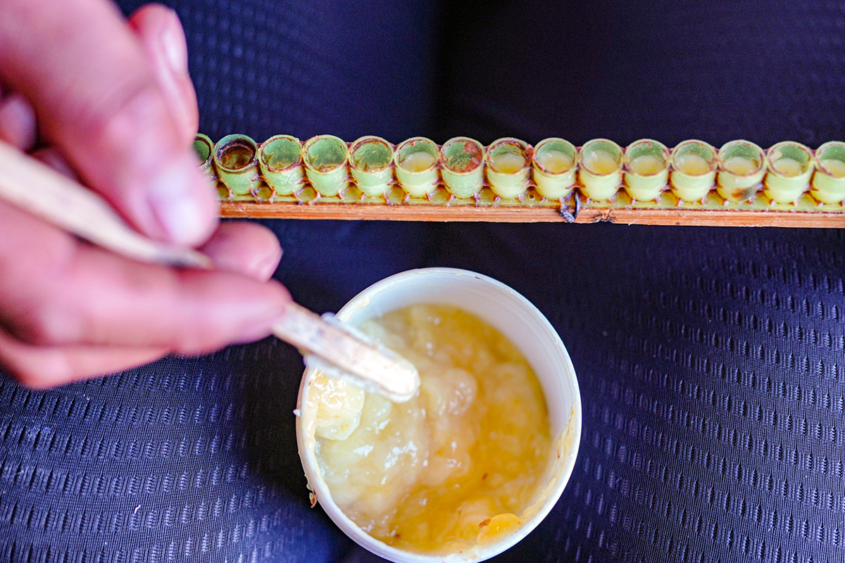 Βασιλικός πολτός