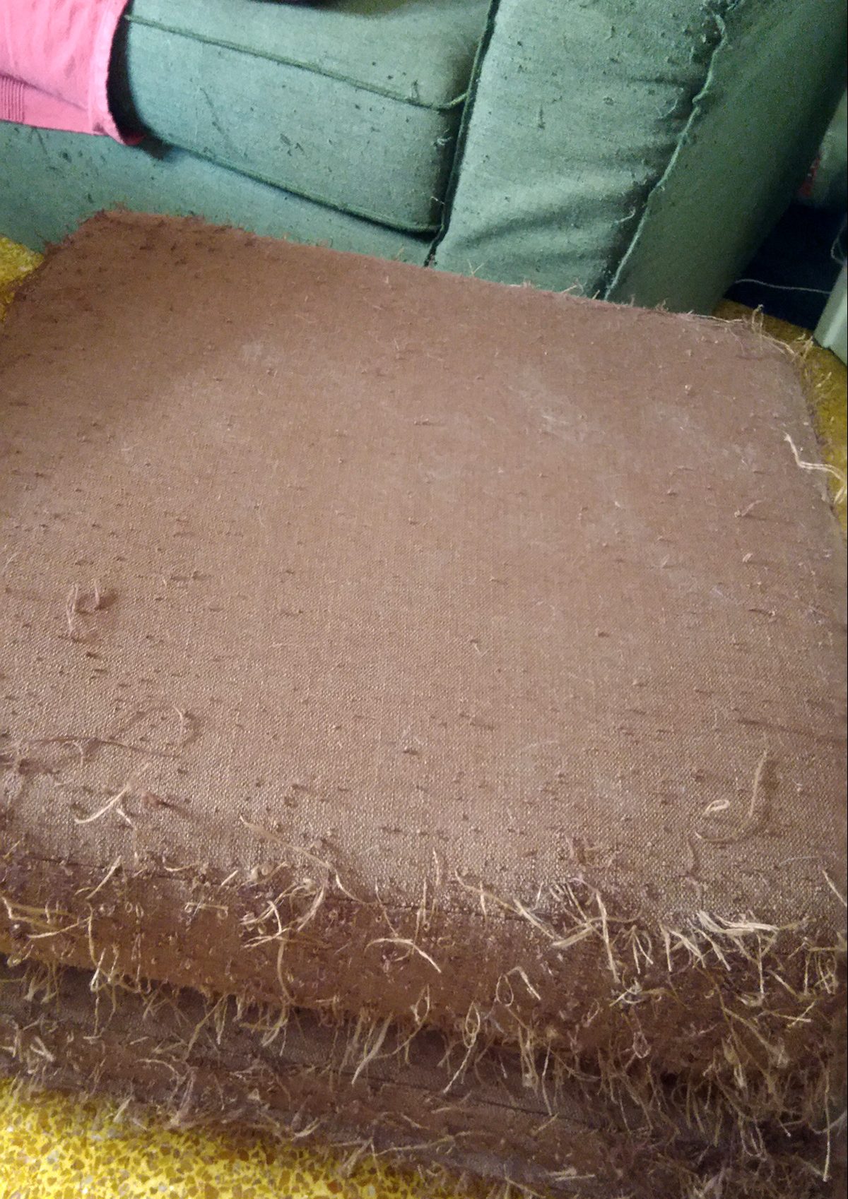 Η γάτα μας ξύνει τον καναπέ; Φταίει η αγάπη μας γι’ αυτή