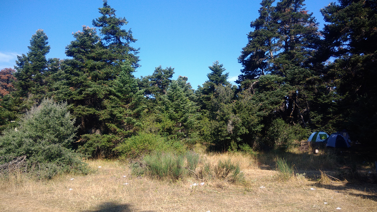 Περί συναυλιών και σεβασμού