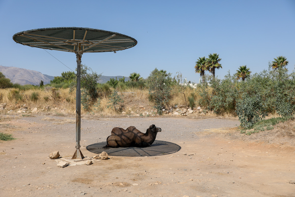 ζωολογικός κήπος