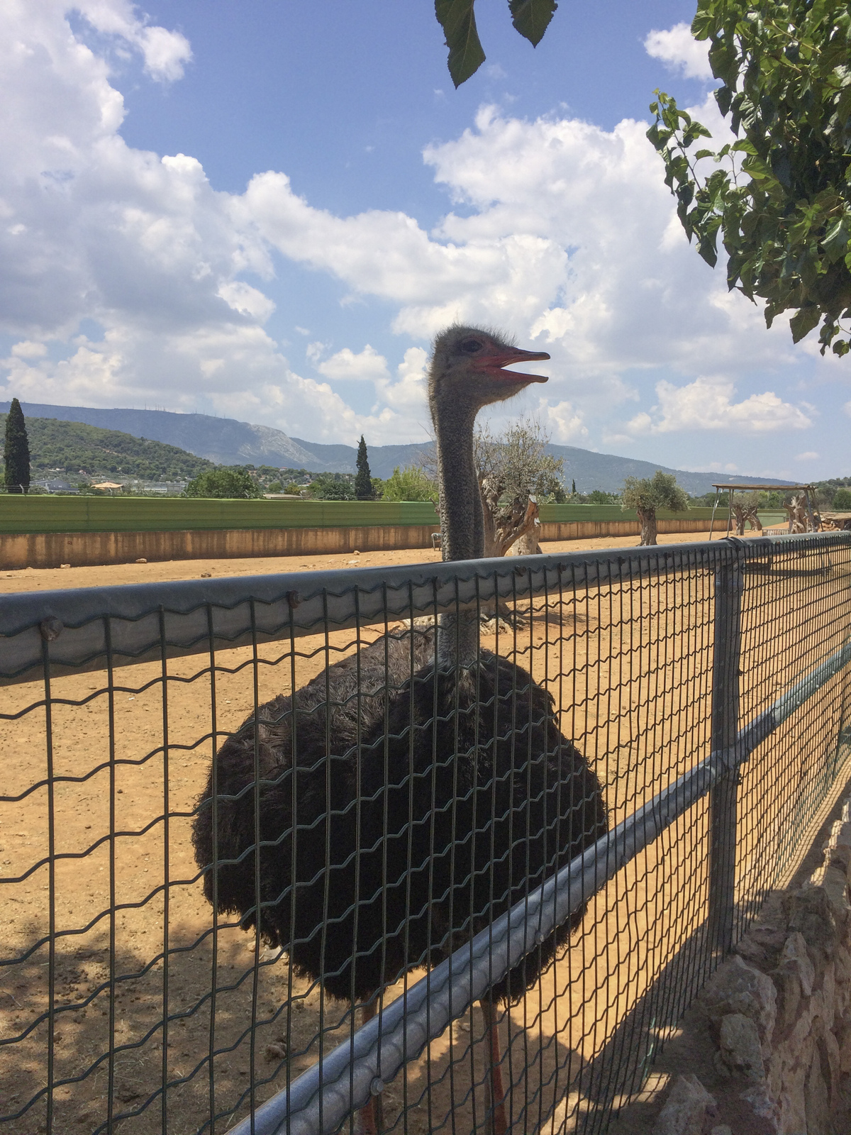 ζωολογικός κήπος