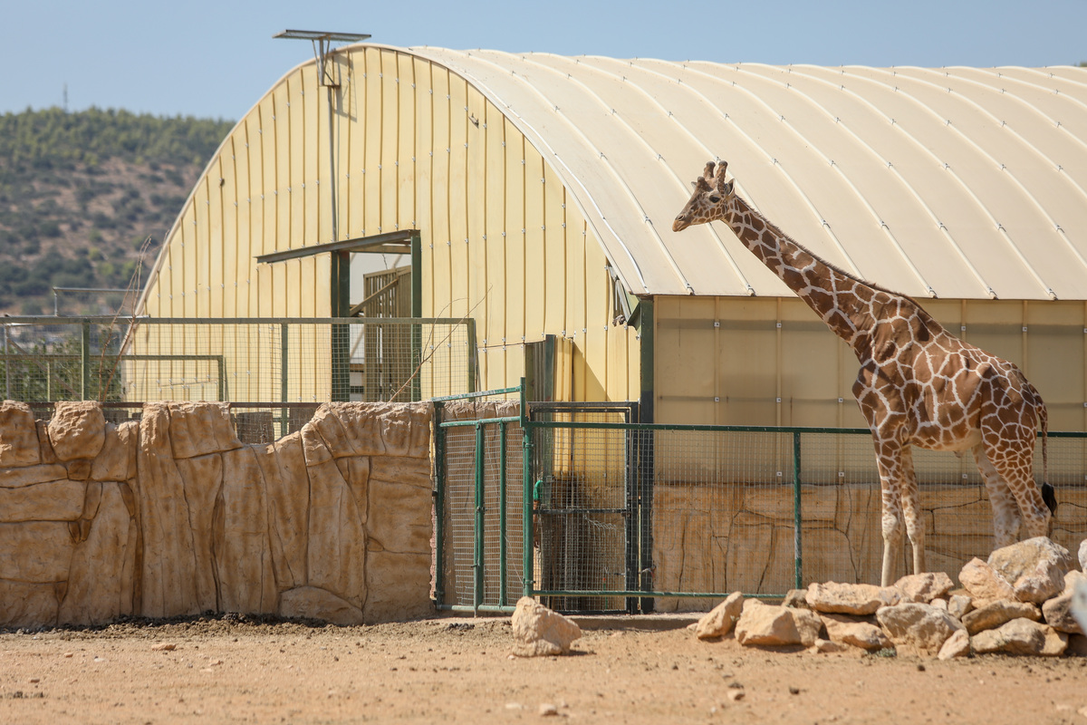 ζωολογικός κήπος