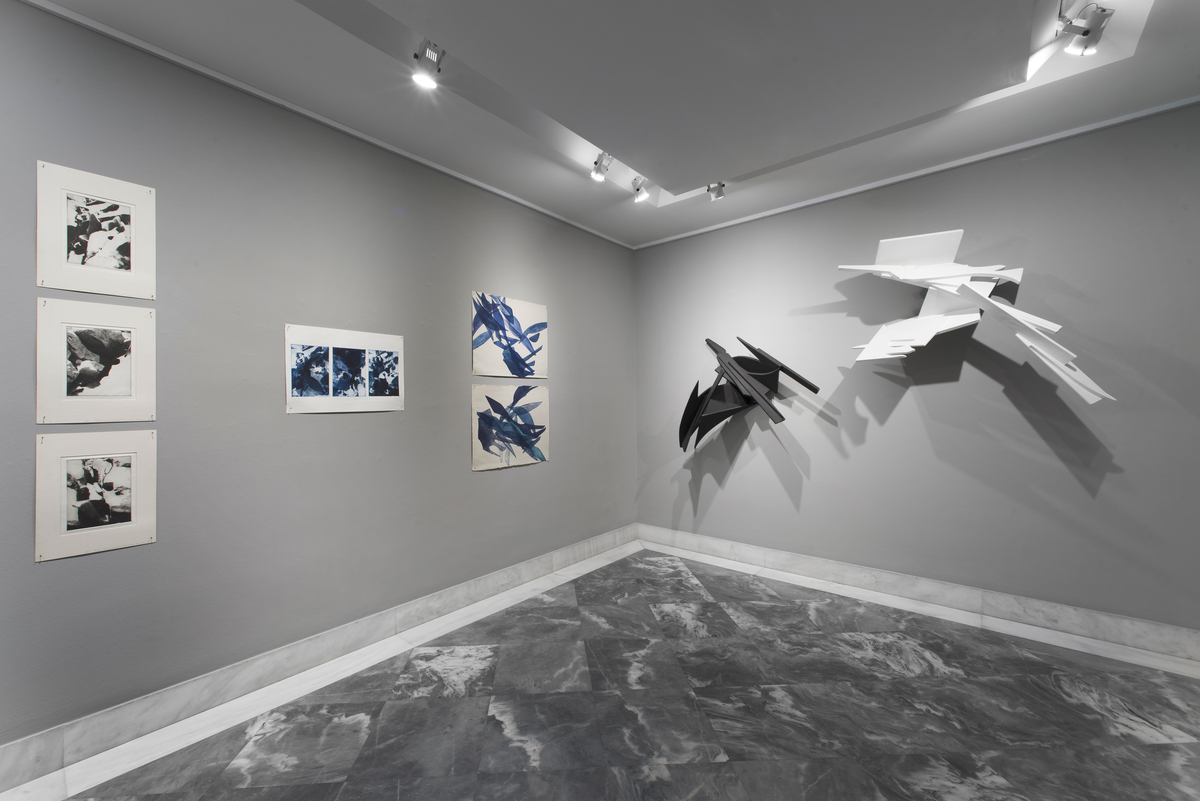 Άποψη της έκθεσης