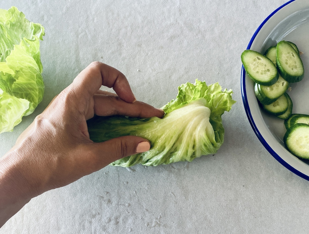 wrap κοτόπουλου