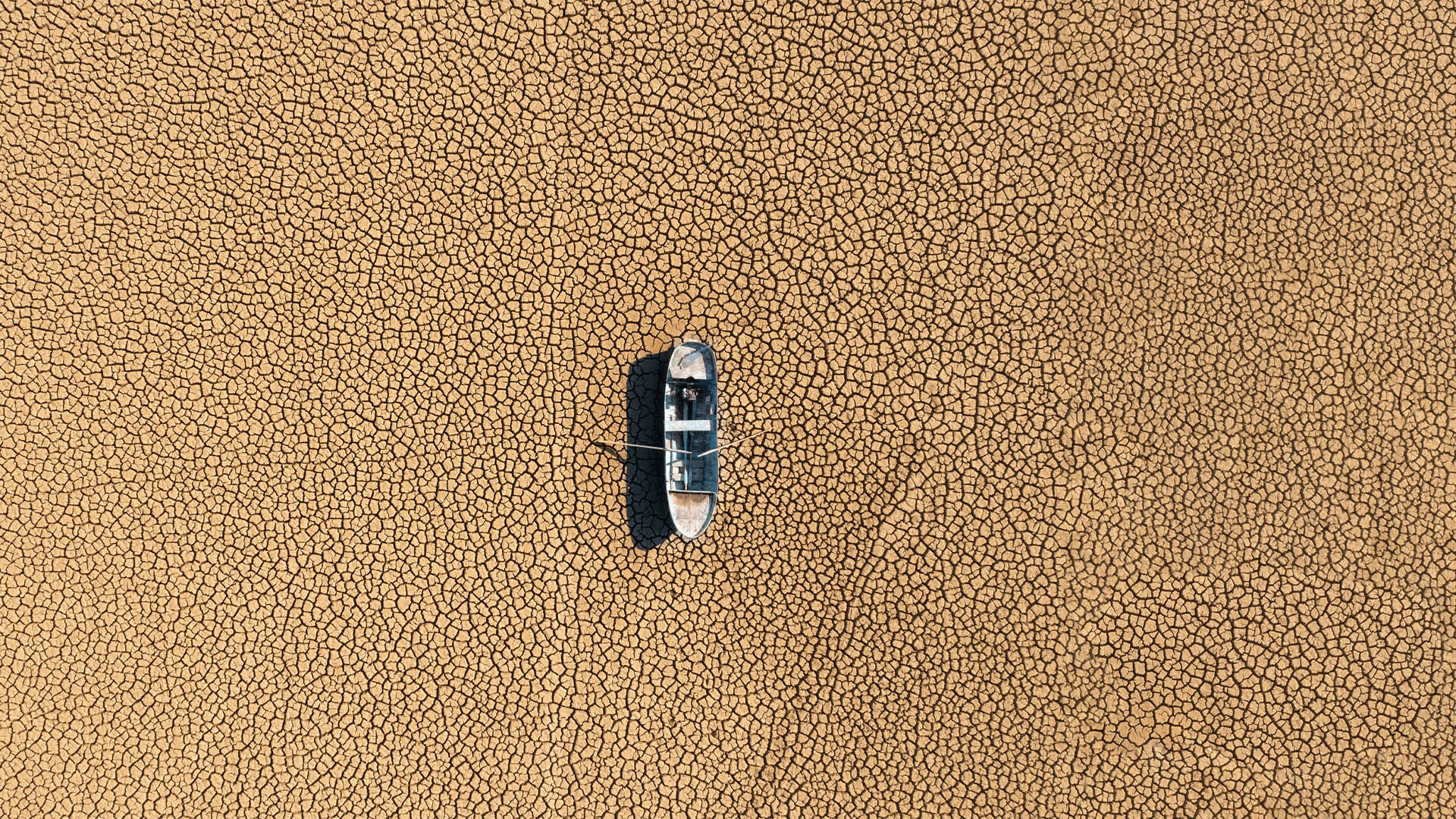 Πόσες ασθένειες μας απειλούν λόγω κλιματικής αλλαγής