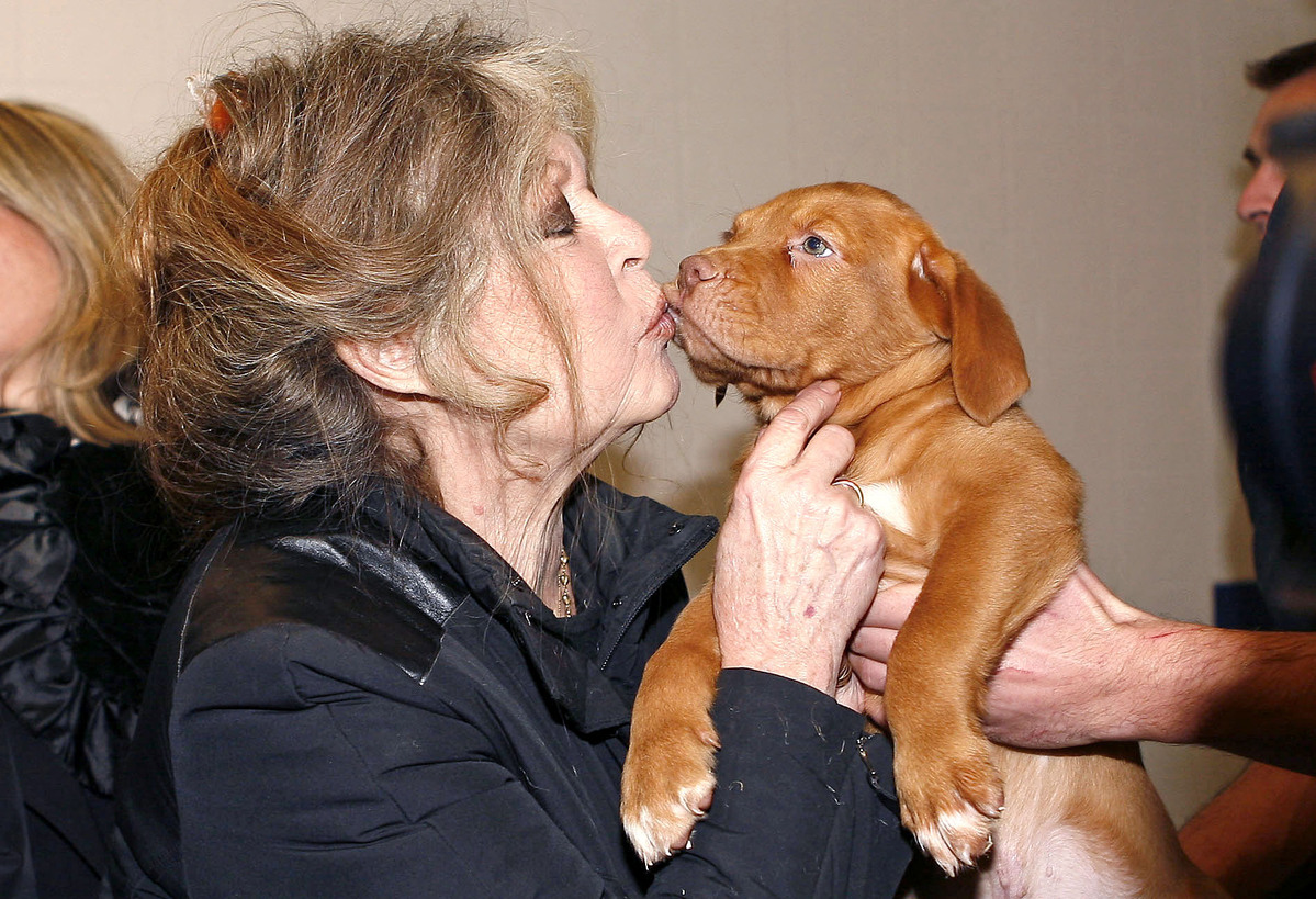 Μπαρντό και κουτάβι