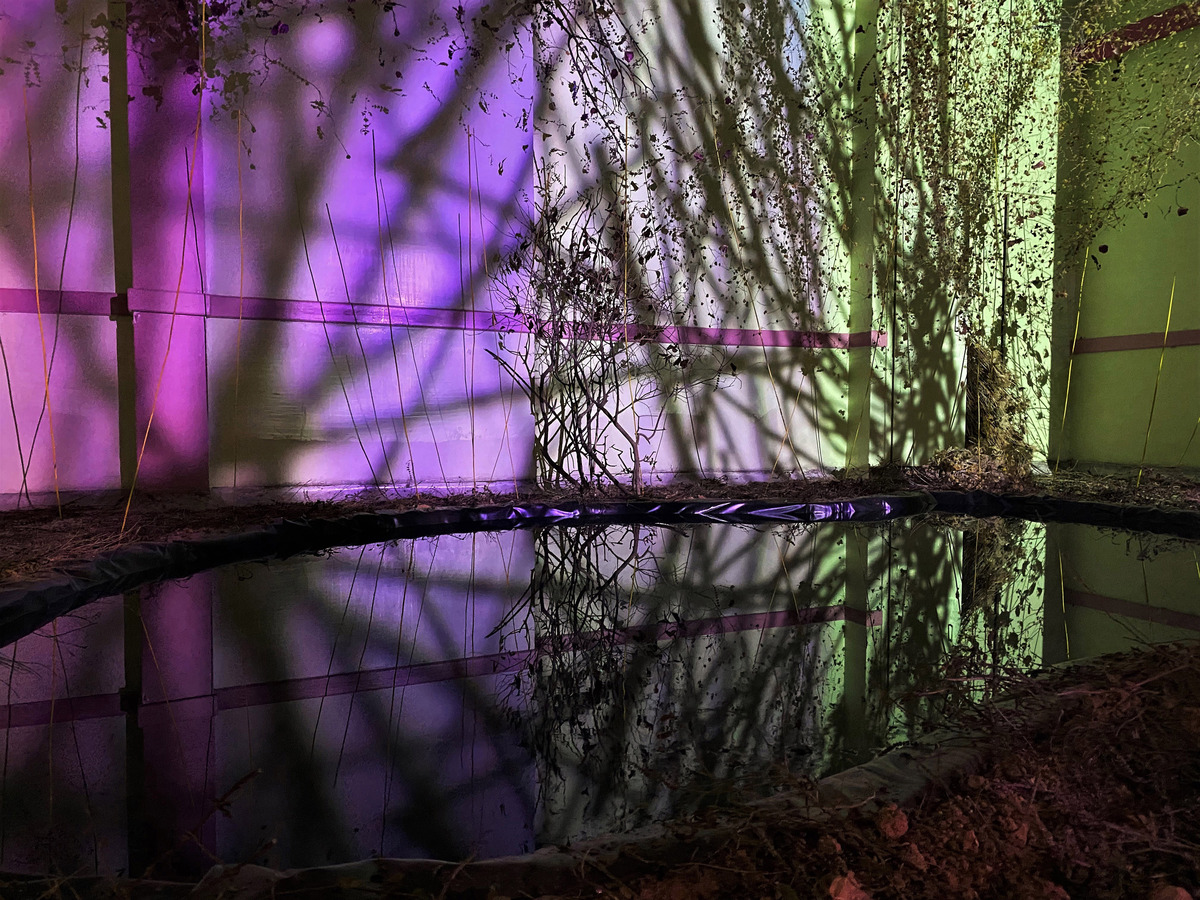 Δσφνί έκθεση