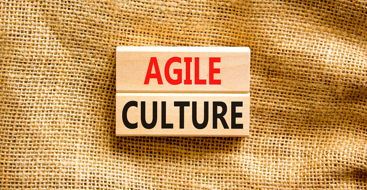 προσβασιμότητα τέχνη 