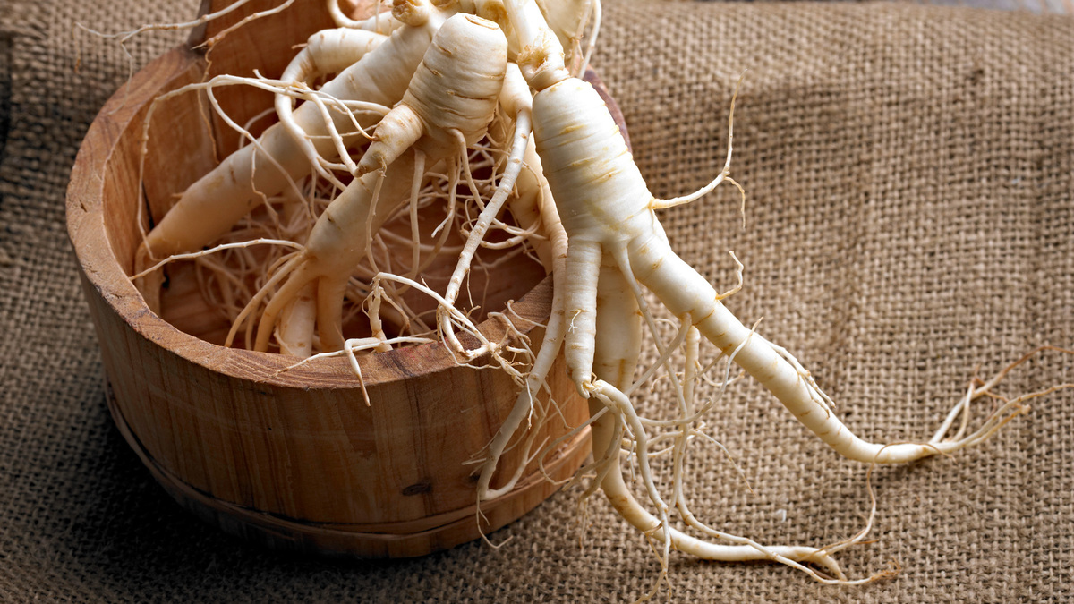 ginseng 