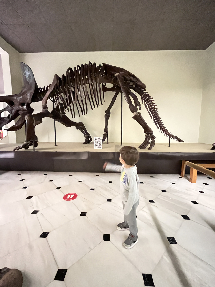 δεινόσαυρος