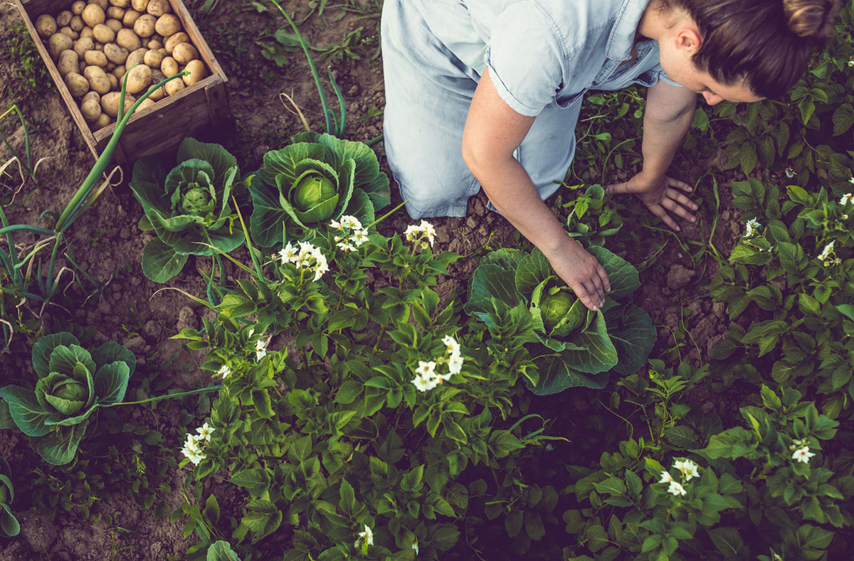 Είναι η μεσογειακή διατροφή eco-friendly;