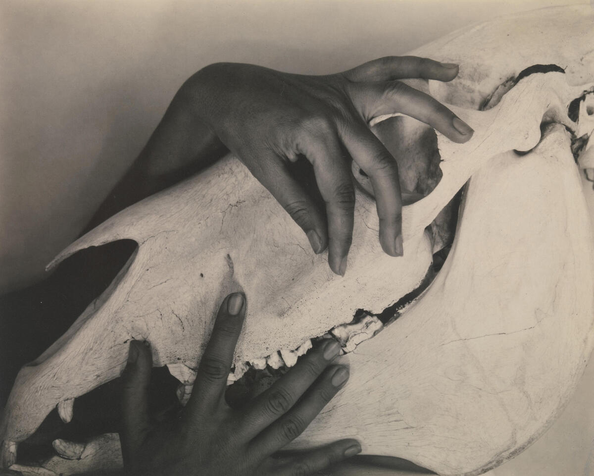 Georgia O’Keeffe by Alfred Stieglitz