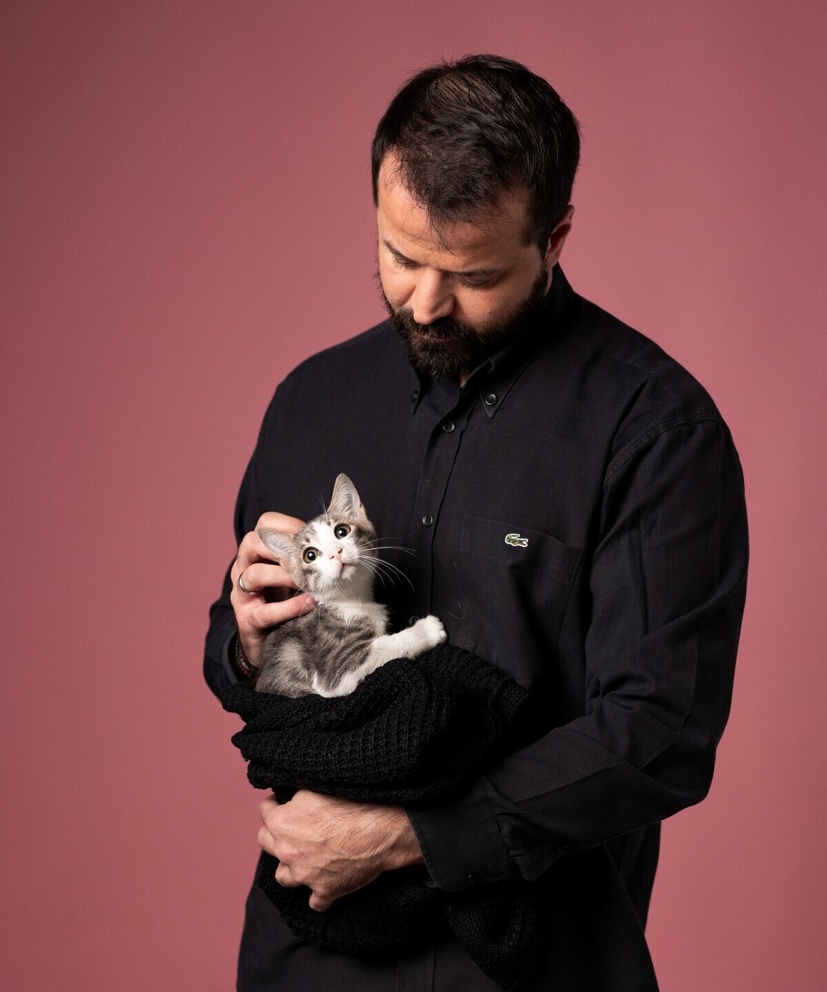 SCARS γάτες Παναγόπουλος