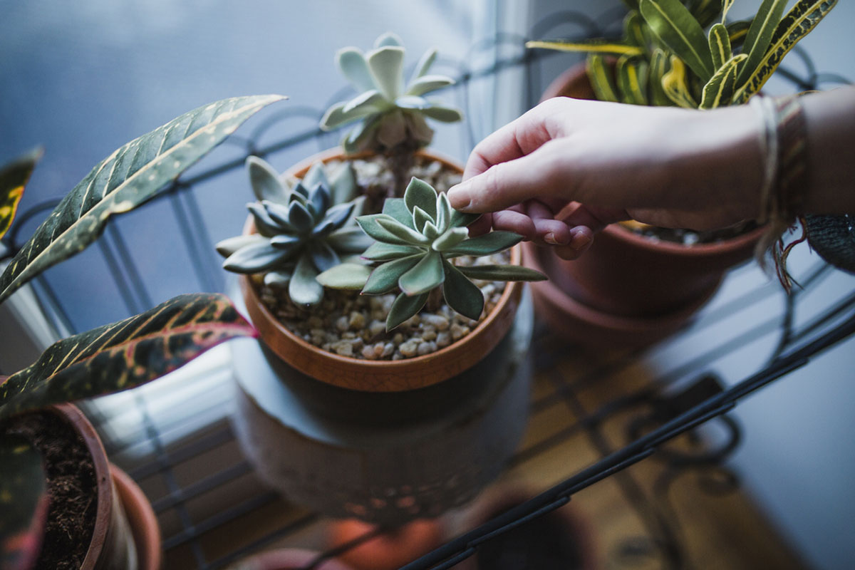 Βάλε αμέσως φυτά στο χώρο εργασίας σου