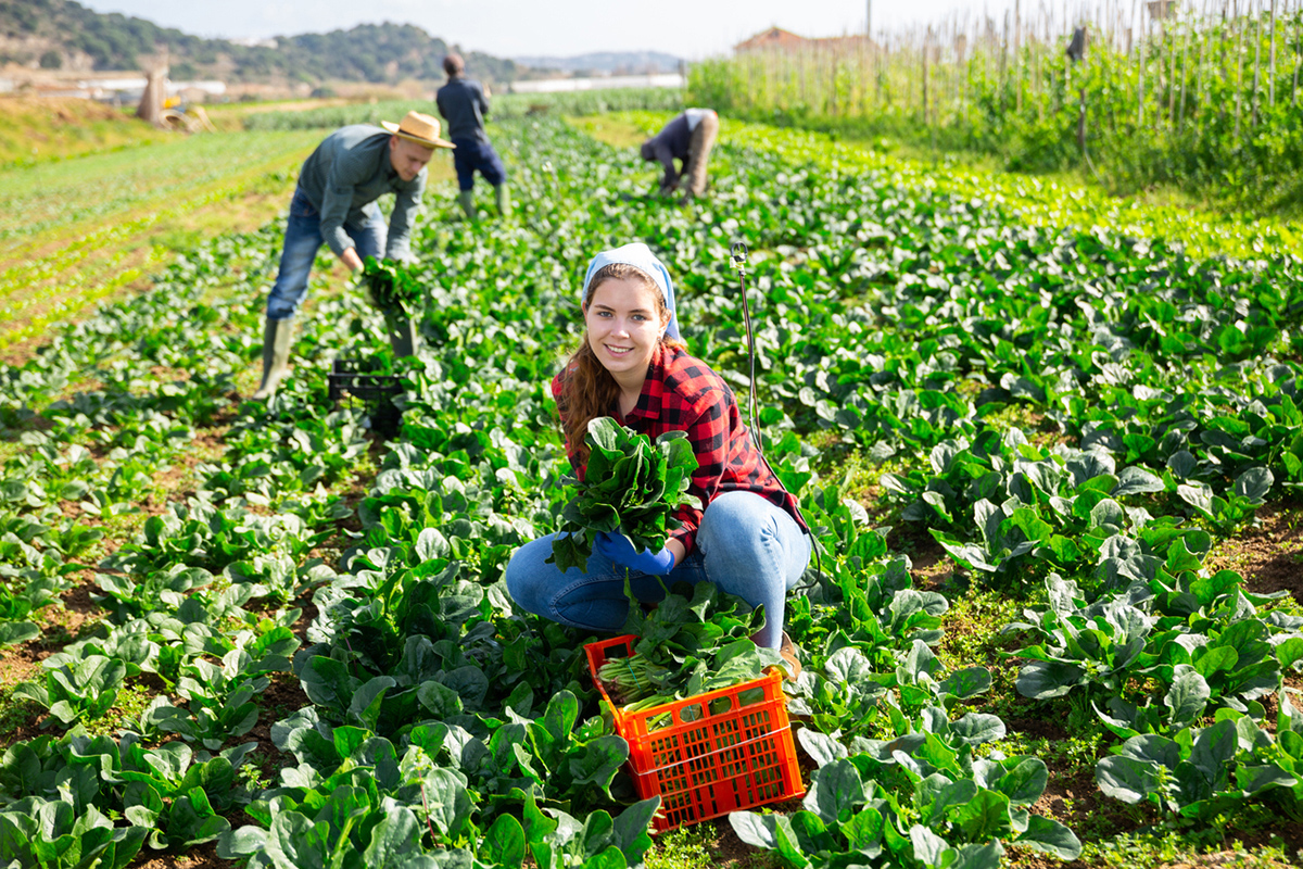 Πώς η κηπουρική μπορεί να σου σώσει τη ζωή