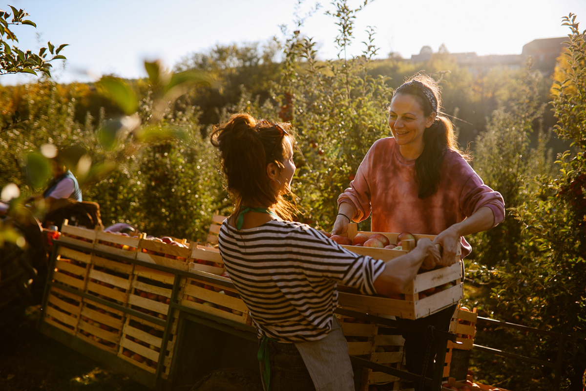 Πώς η κηπουρική μπορεί να σου σώσει τη ζωή